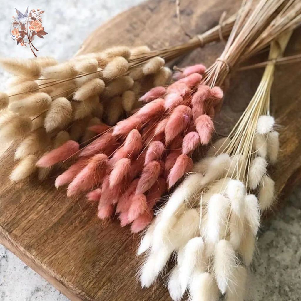 Bunny Tail Bouquet