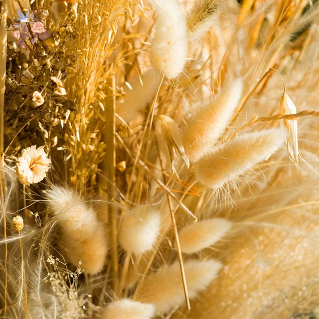 Bunny Tail Bouquet