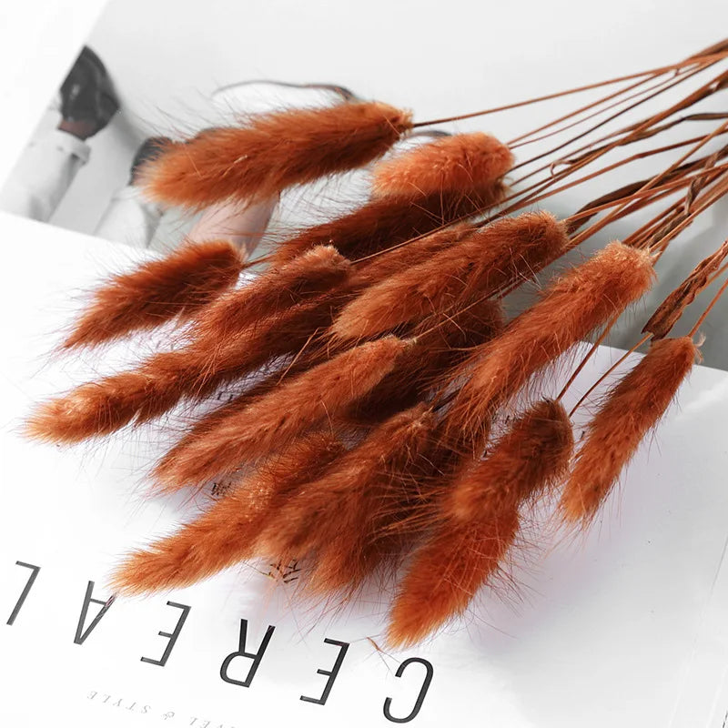Bunny Tail Bouquet