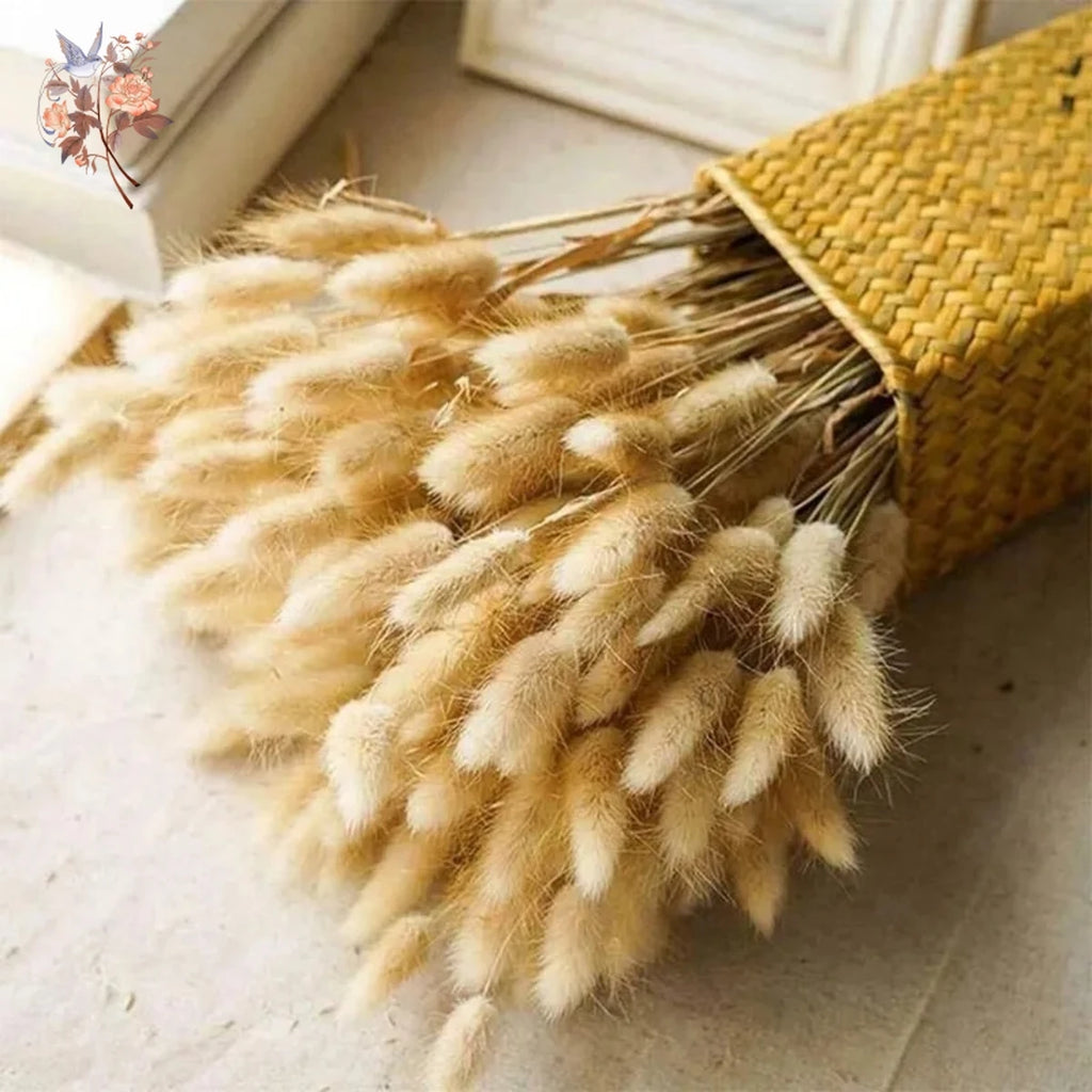 Bunny Tail Bouquet
