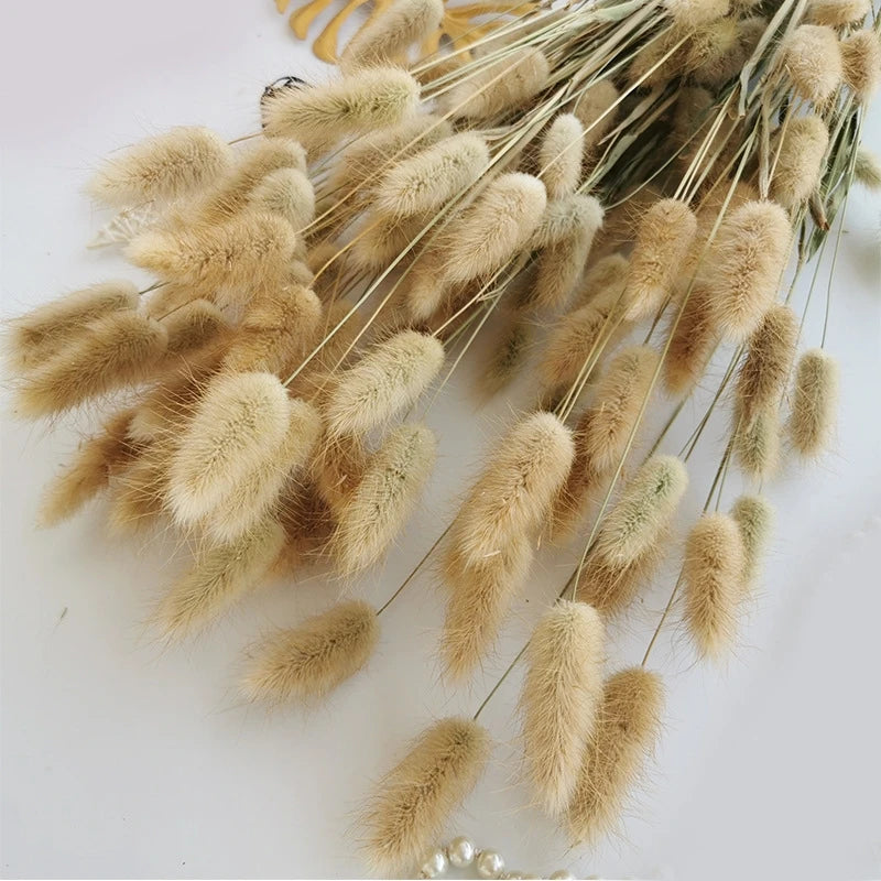 Bunny Tail Bouquet
